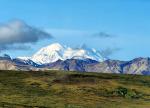 Tundra Wilderness Tour